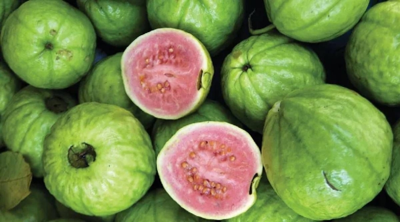 Гуава фиолетовая