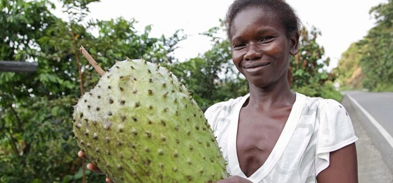 Плантации гуанабана