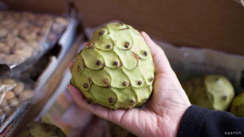 Фрукт Испания черимойя