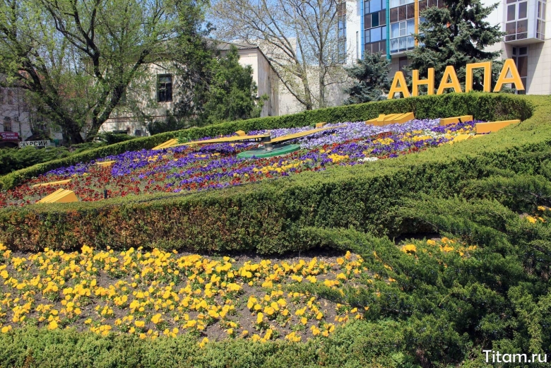 Цветочные часы Анапа