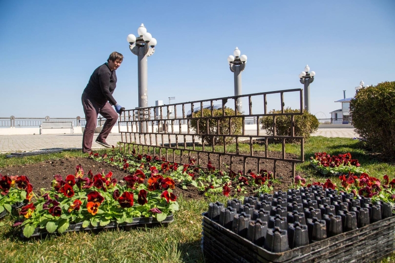 Цветы анапа