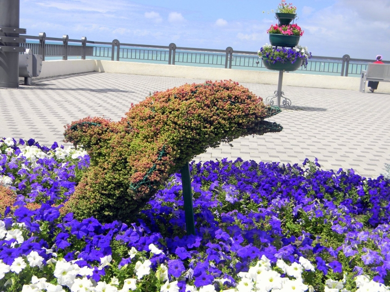 Достромичательности Анапы