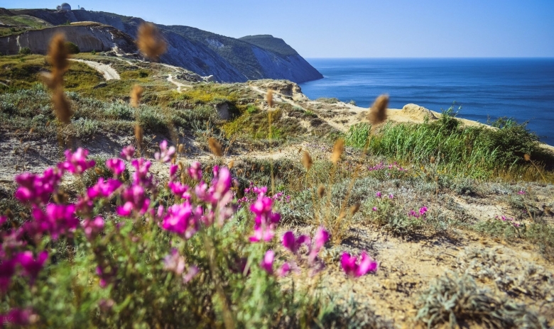 Черное море весной