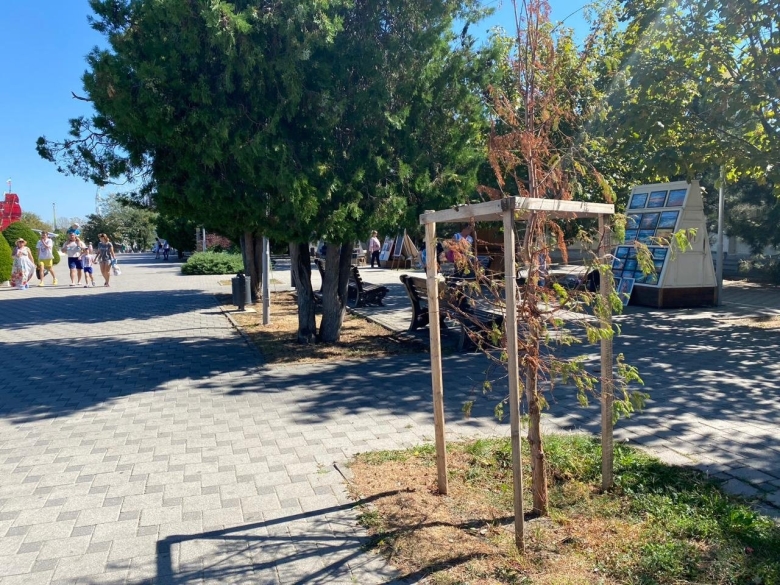 Что в анапе