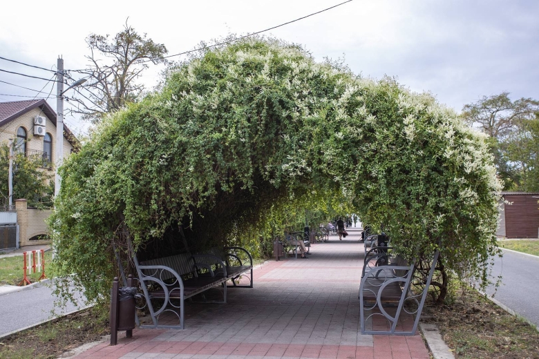 Городская аллея в Анапе