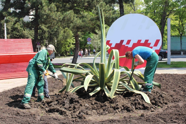 АО Зеленстрой Анапа