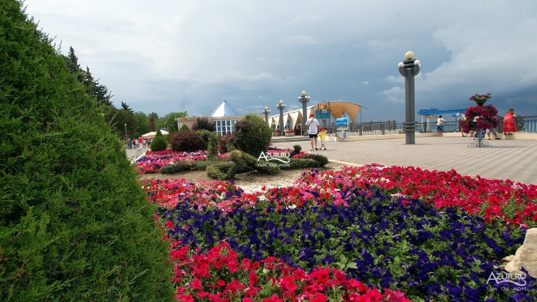 Анапа набережная цветы