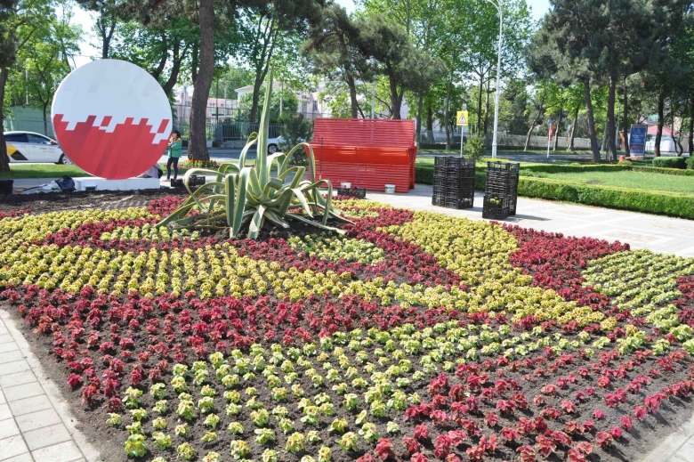 Красивые клумбы в Анапе