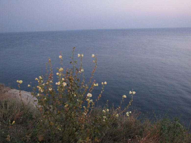 Море в крыму