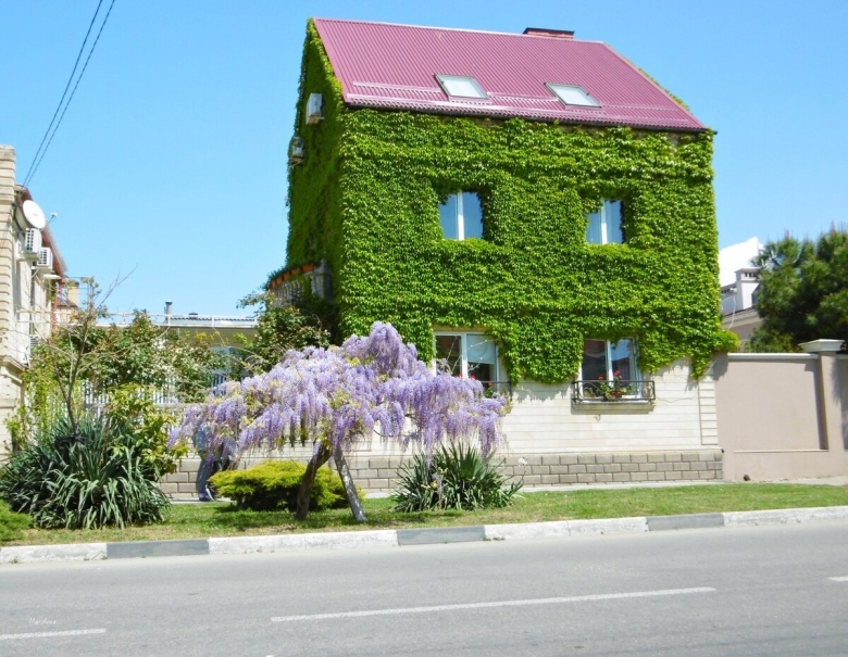 Анапа центр города улицы