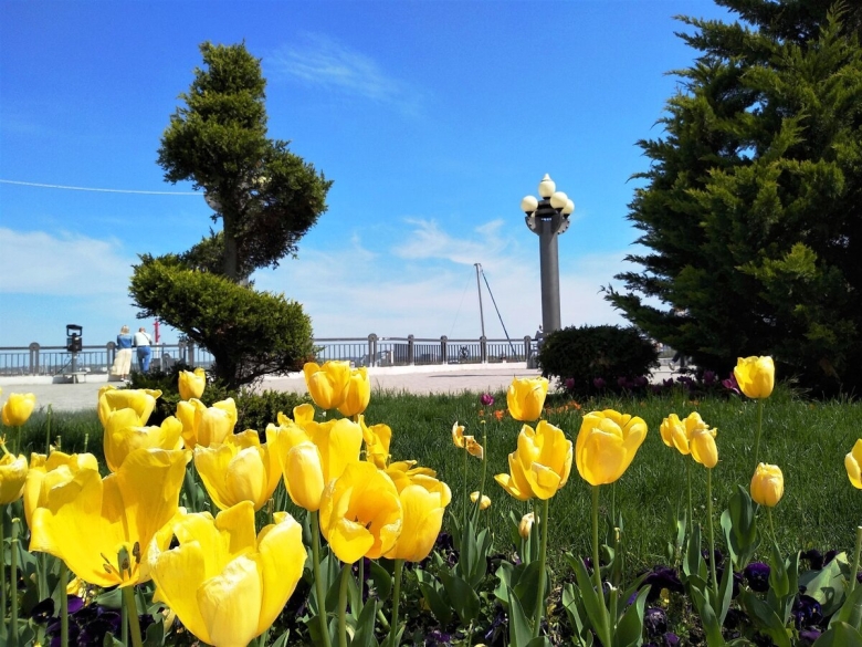 Город анапа