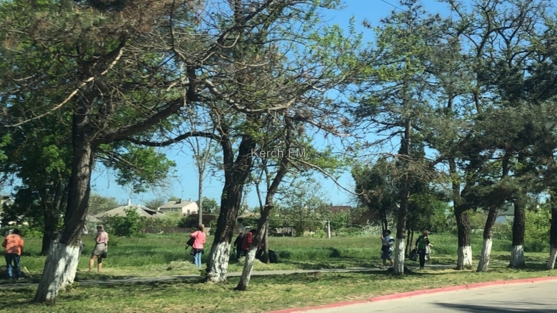 Керчь растения