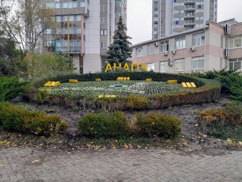 Анапа часы из цветов