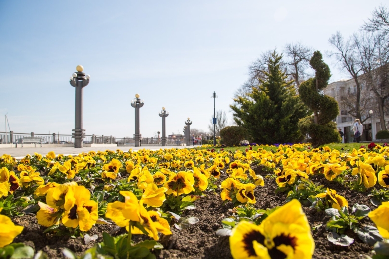 Цветочные часы Краснодар