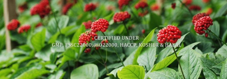 Женьшень Дальний Восток