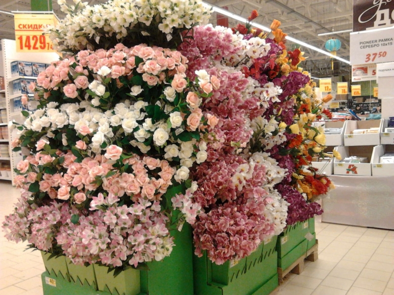 Герань в Леруа Мерлен