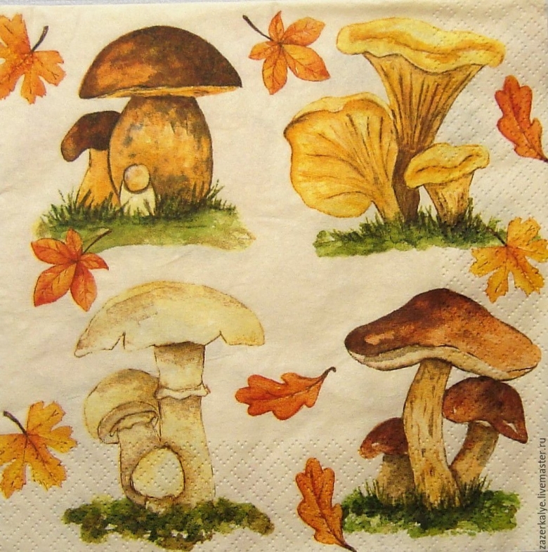 Грибы цветными карандашами