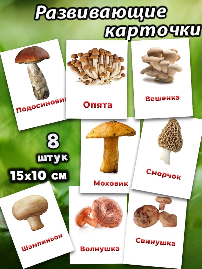 Карточки грибы съедобные и несъедобные