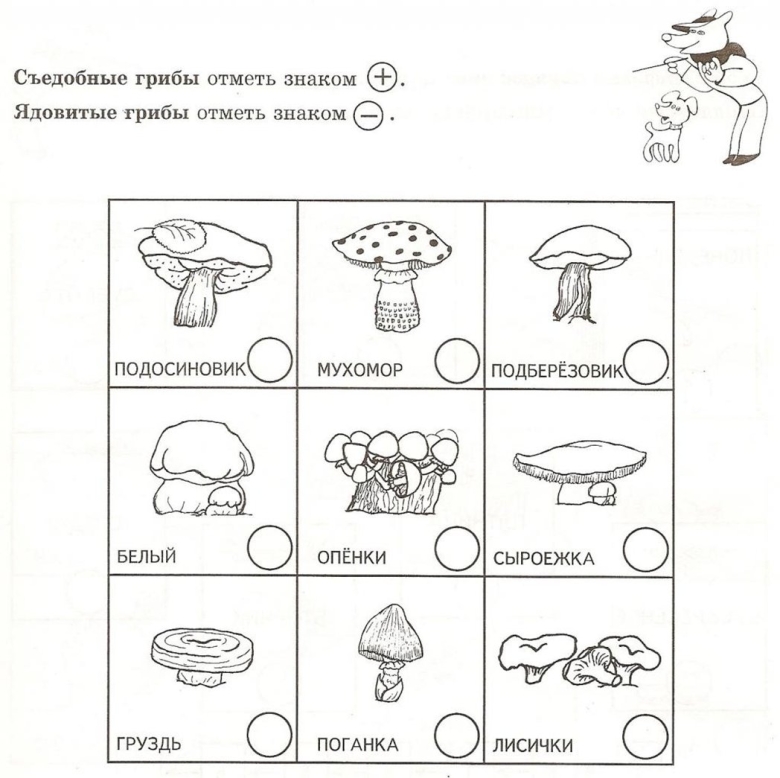 Грибы задание для дошкольников