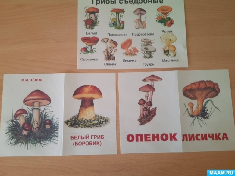 Дидактическая игра съедобные и несъедобные грибы