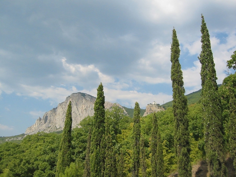 Растительный мир Крыма деревья