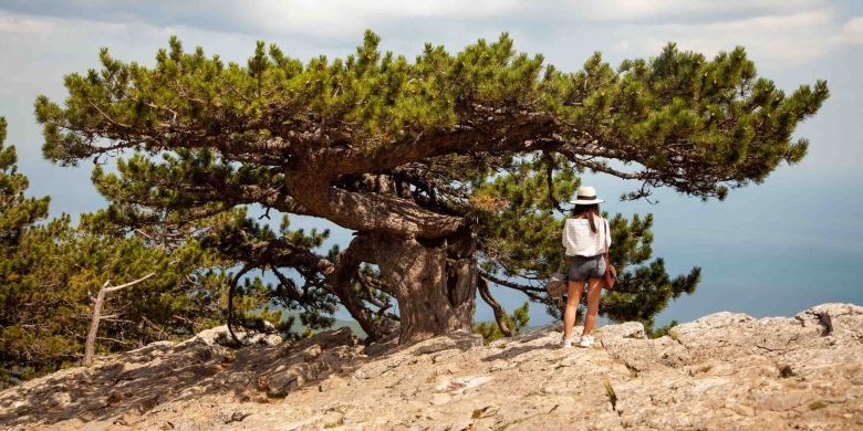 Сложность Кореизской тропы