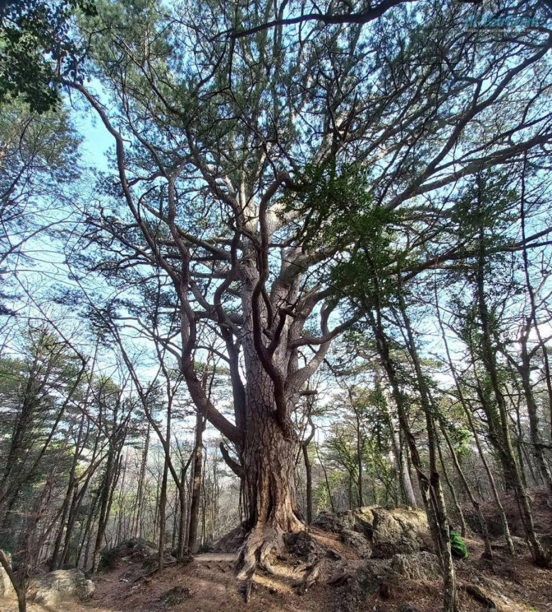 Тропа Палласа Крым