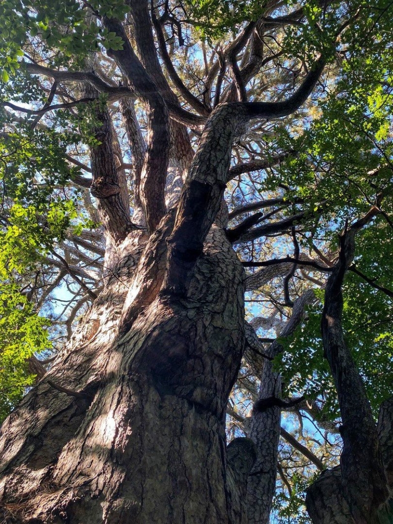 Заповедный Крым