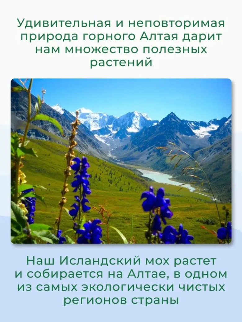 Природа горного алтая