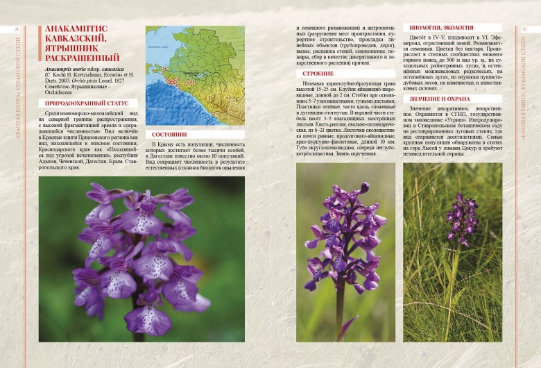 Растения из красной книги Краснодарского края