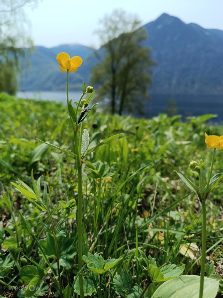 Кардон Байгазан