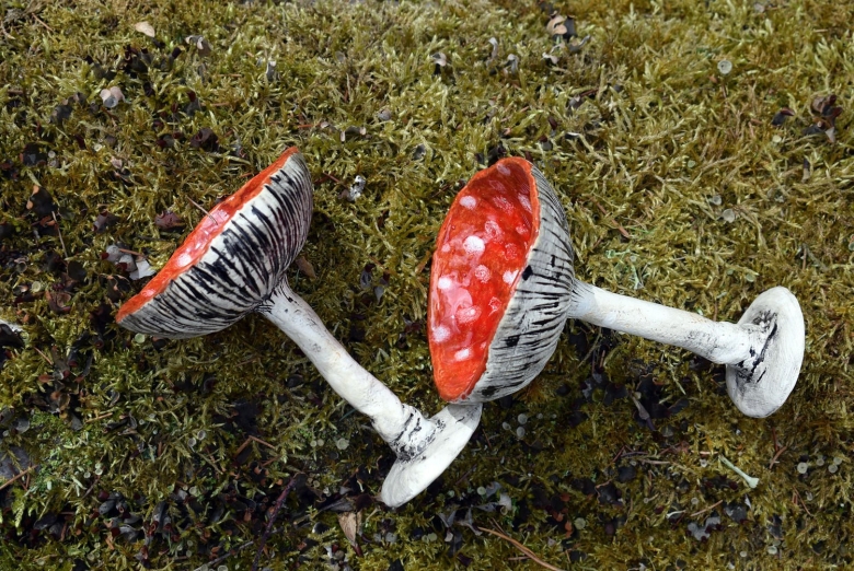 Ложка с мухомором