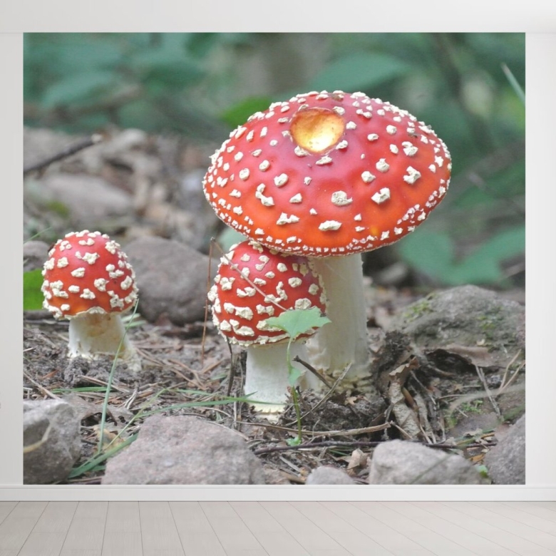 Мухомор желтоножковый