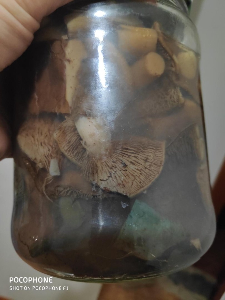 Е ли закрученные в банке грибы посинели