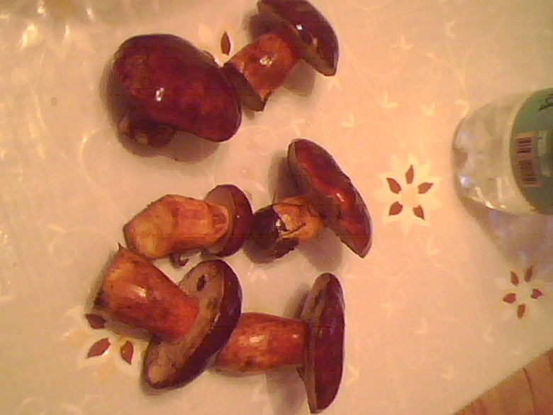 Гриб синеет при надавливании