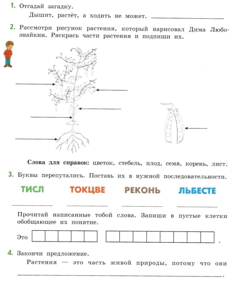 Части растений задания