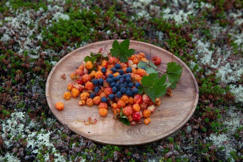 Ягоды Кольского полуострова