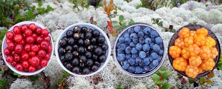 Морошка брусника клюква