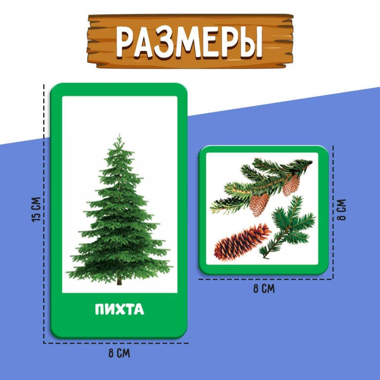 Хвойные и лиственные деревья