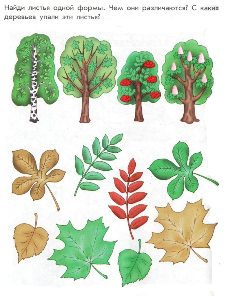Деревья задания для дошкольников