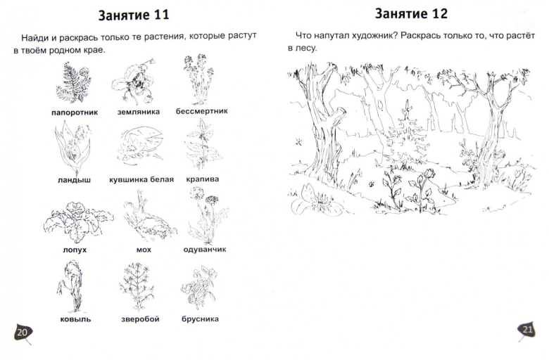 Растения задания для дошкольников