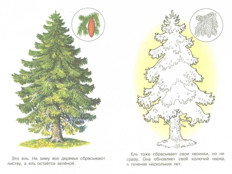 Ель задания для детей