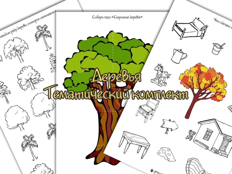 Лиственные деревья задания для дошкольников