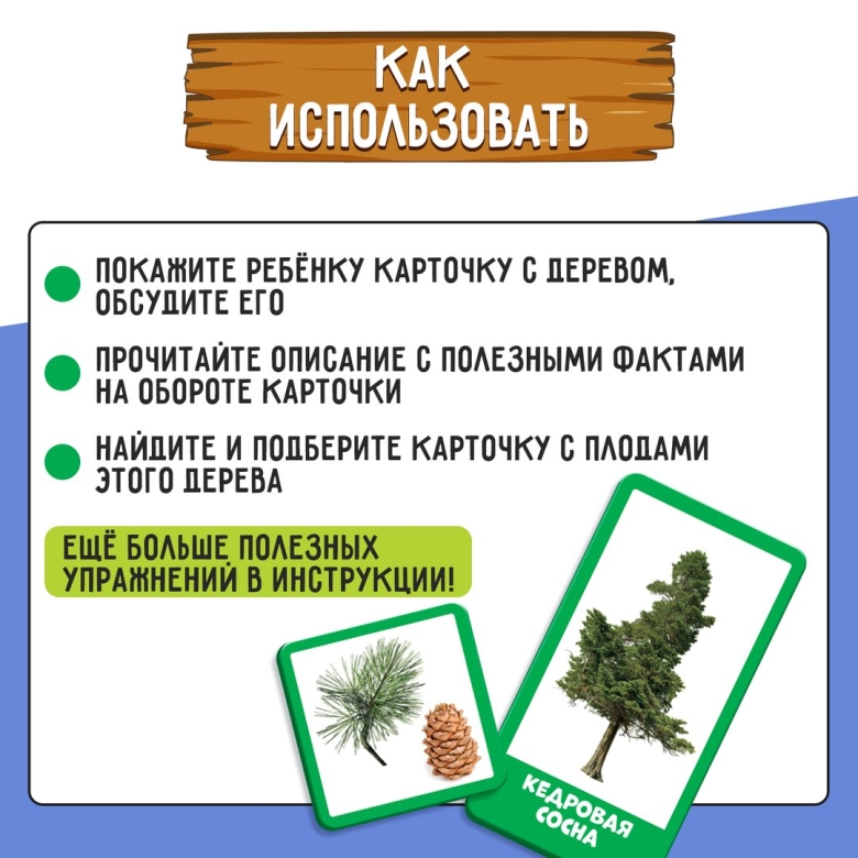 Карточки деревья для детей