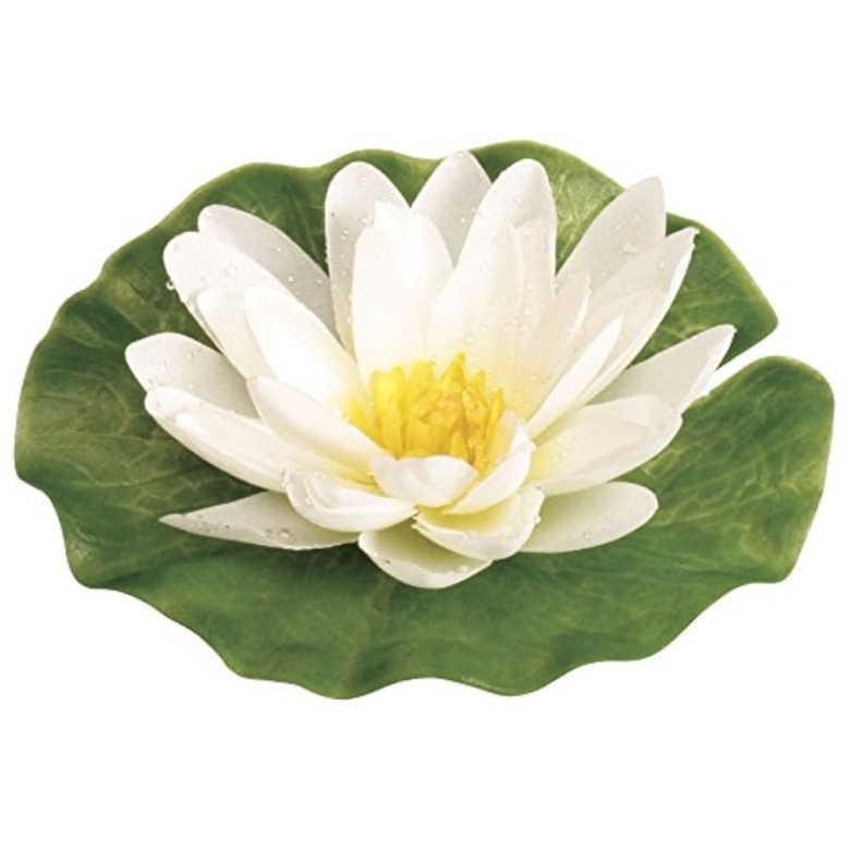 Водяная Лилия