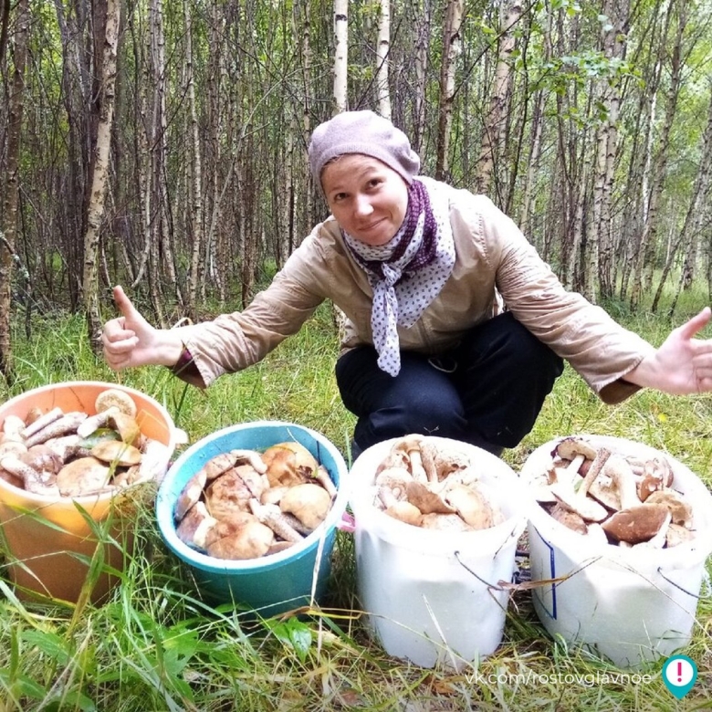Грибы Шатурский район