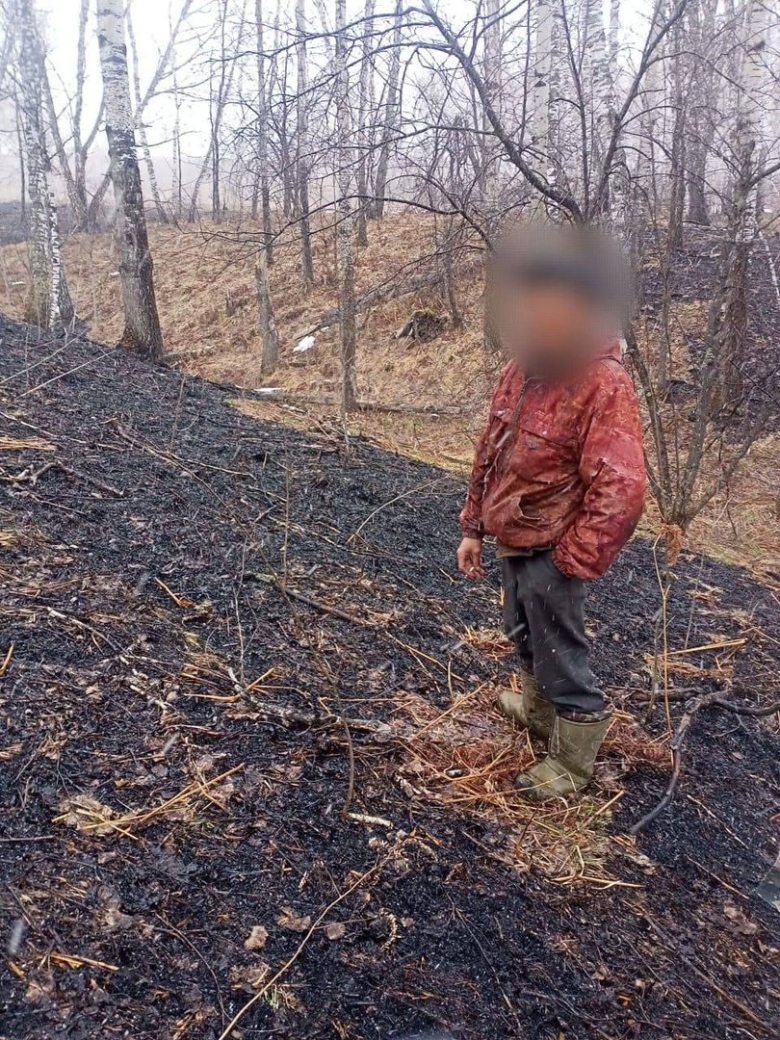 Лесной пожар