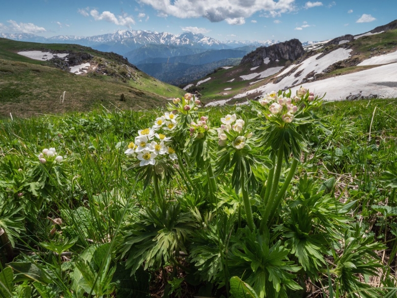Мультитур картинка