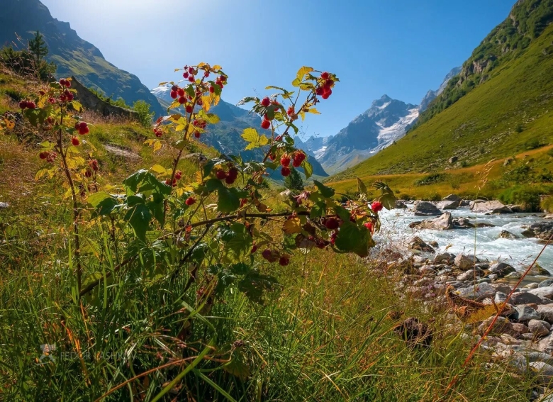 Лето в горах Кавказа