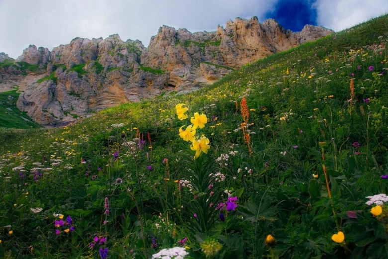 Субальпийские Луга Дагестана